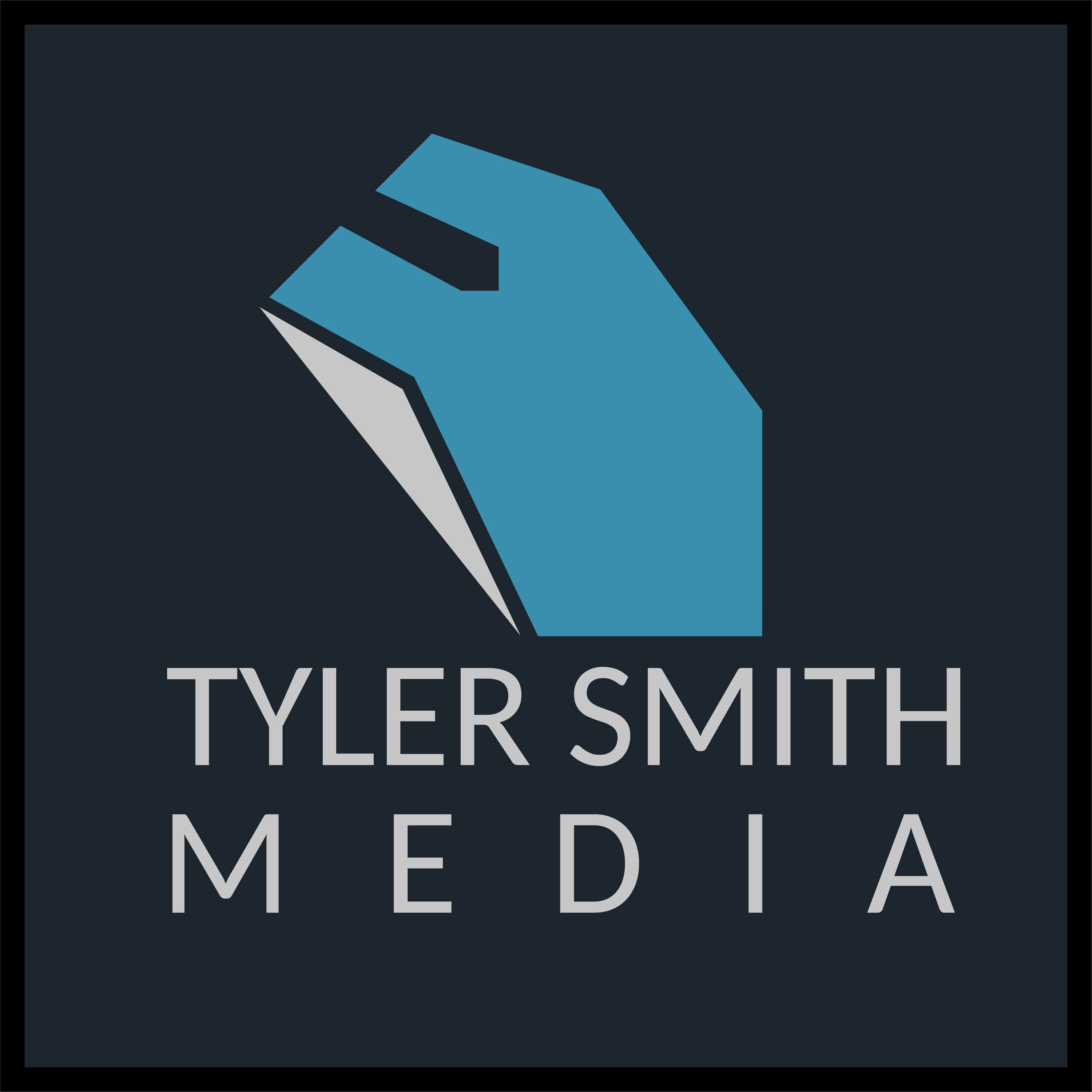 Tyler Smith Media mouse logo