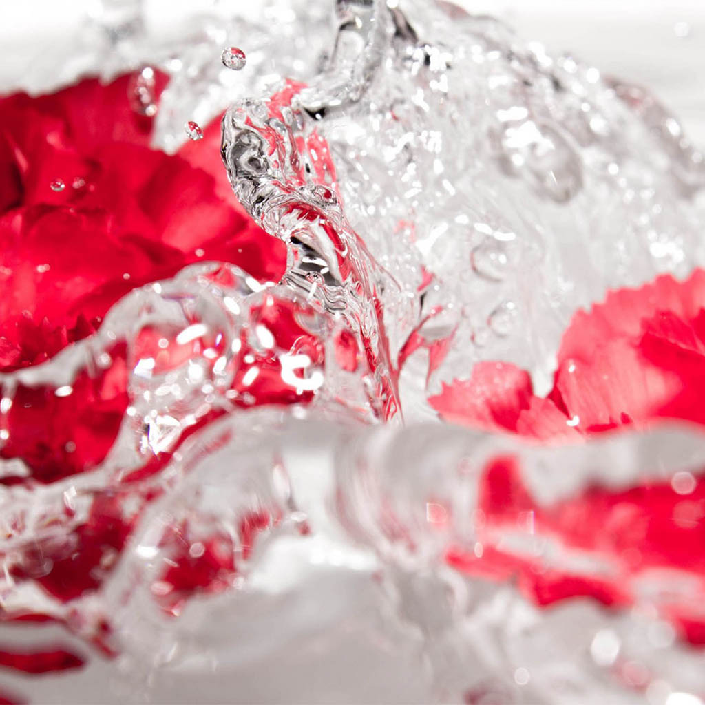 Flower Water Splash