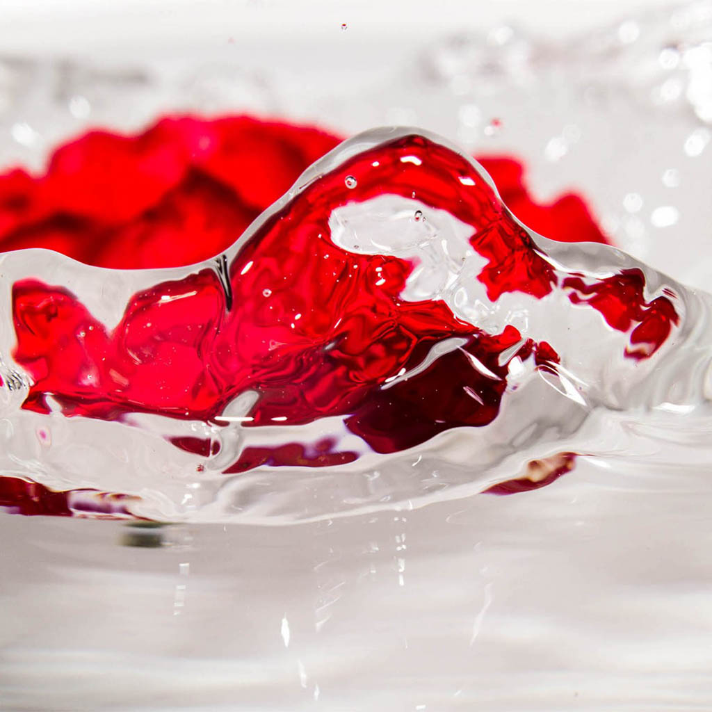 Flower Water Splash 2